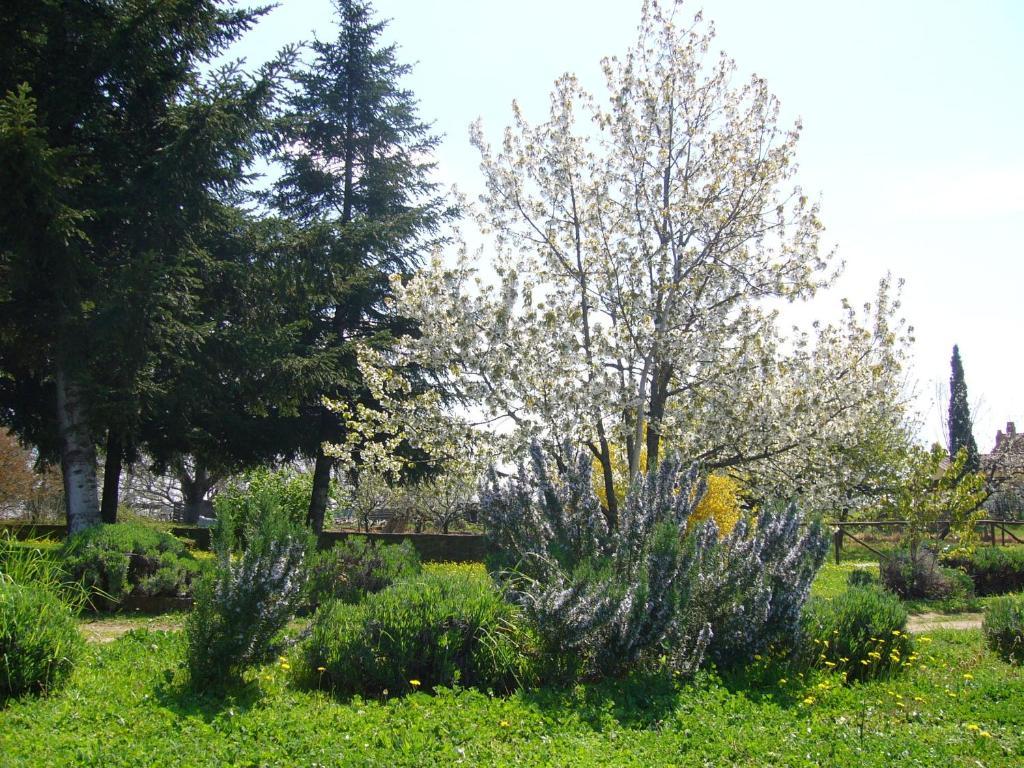 Agriturismo San Giacomo Пітільяно Екстер'єр фото