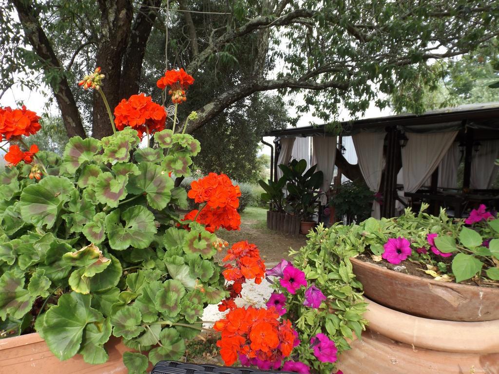 Agriturismo San Giacomo Пітільяно Номер фото